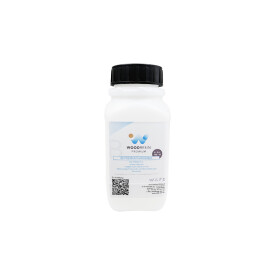 WOODRESIN 80 ULTRA PREMIUM CAST RESIN SYSTEM 1,4 kg (A 1 kg + B 400 g)
