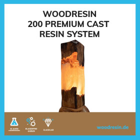 WOODRESIN 200 ULTRA PREMIUM CAST RESIN SYSTEM 8,25 kg (A 5 kg + B 3,25 kg)